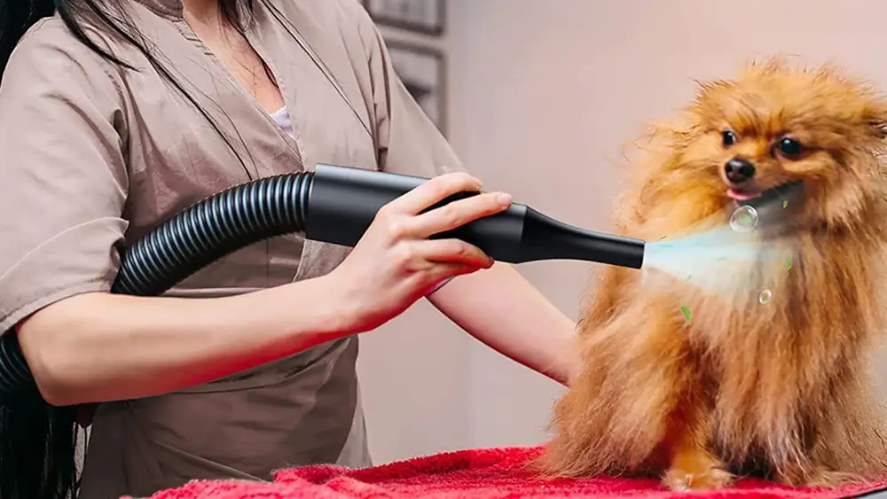 DOPICT Pet Grooming Dryer