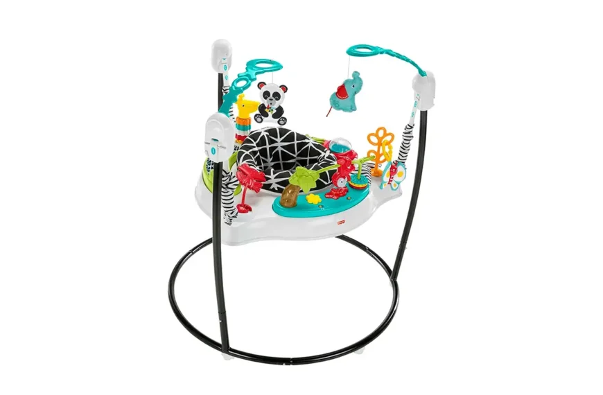 Fisher-Price-Baby-Bouncer