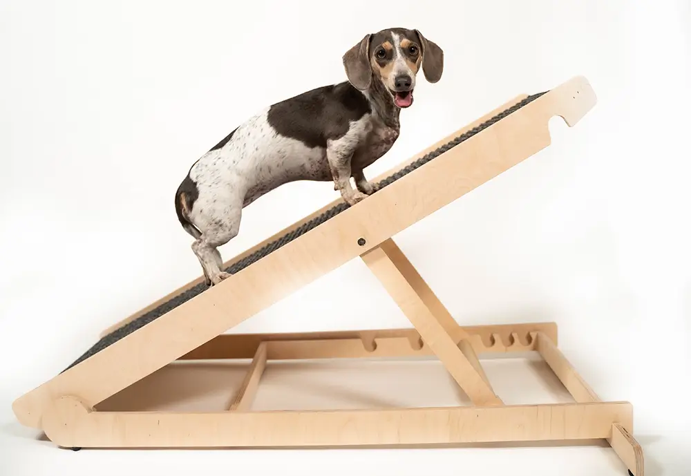 Pawnotch Adjustable Dog Ramp