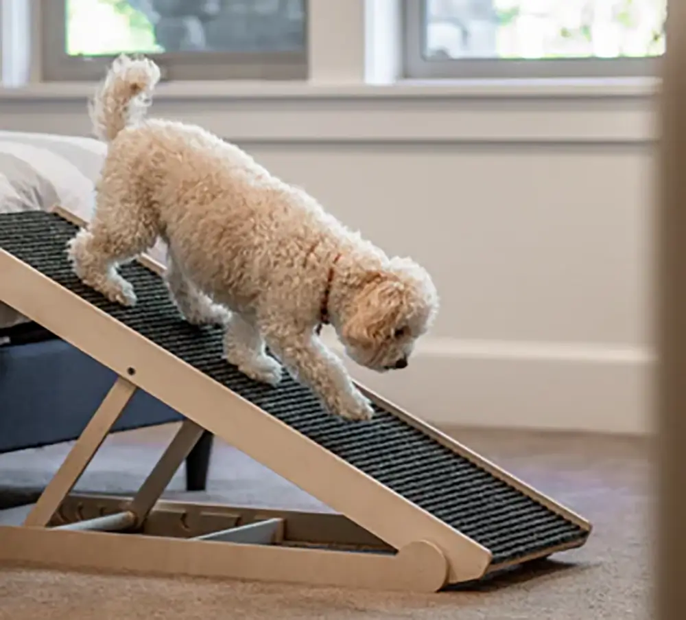 Pawnotch Adjustable Dog Ramp