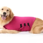 Pet Anxiety Jackets