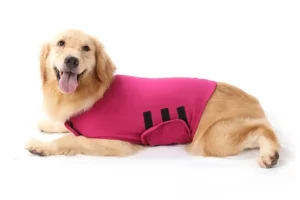 Pet Anxiety Jackets