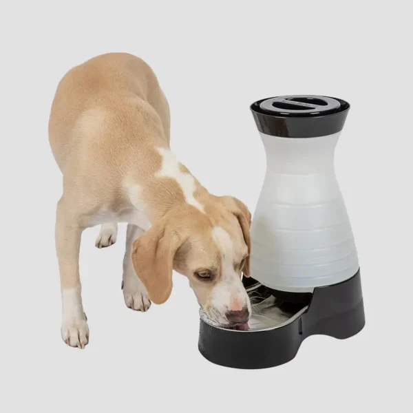 Pet Hydration System