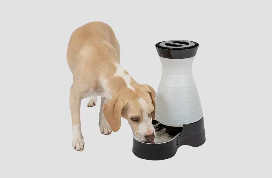 Pet Hydration System