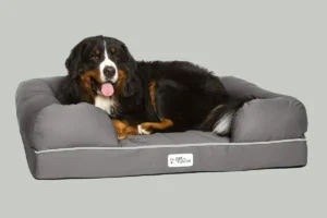 PetFusion Ultimate Dog Bed