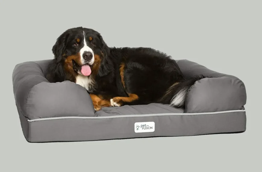 PetFusion Ultimate Dog Bed