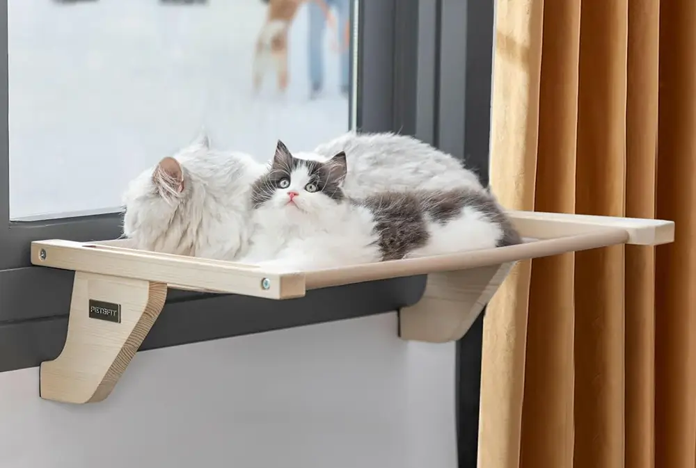 Petsfit Cat Window Perch