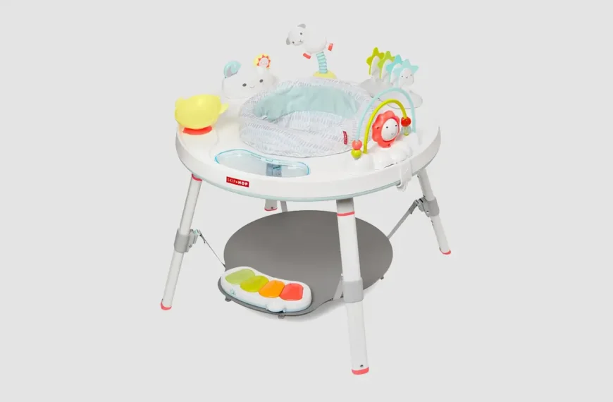 Skip Hop Baby Activity Center