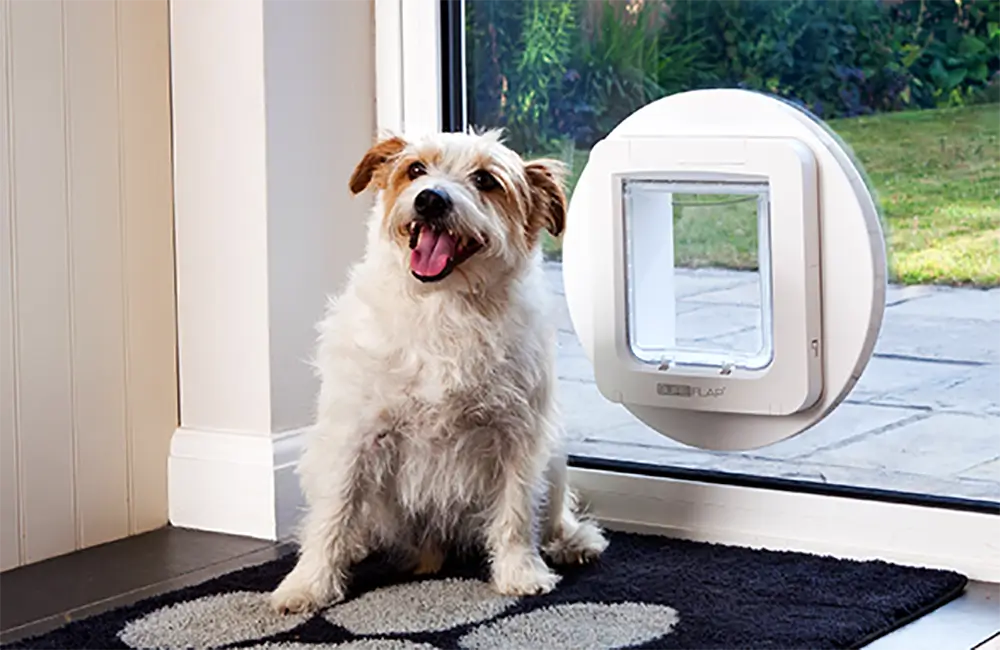 SureFlap-Sure Petcare Microchip Pet Door