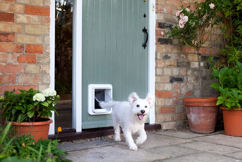 SureFlap-Sure Petcare Microchip Pet Door