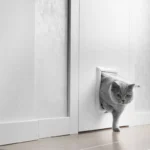 smart-pet-door