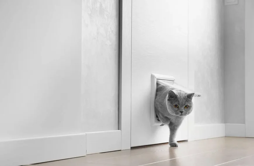 smart-pet-door