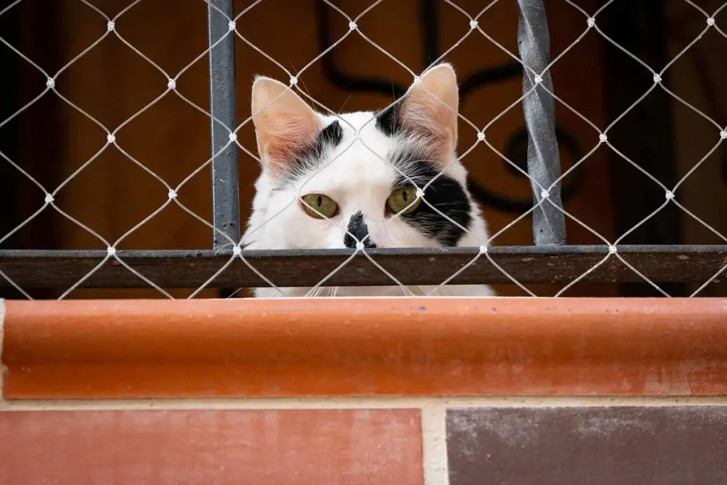 smart-pet-fence